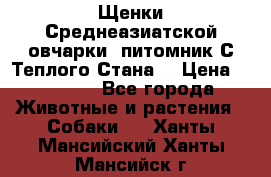 Щенки Среднеазиатской овчарки (питомник С Теплого Стана) › Цена ­ 20 000 - Все города Животные и растения » Собаки   . Ханты-Мансийский,Ханты-Мансийск г.